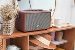 Loa Bluetooth chính hãng